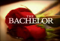 The-bachelor-logo2.jpg